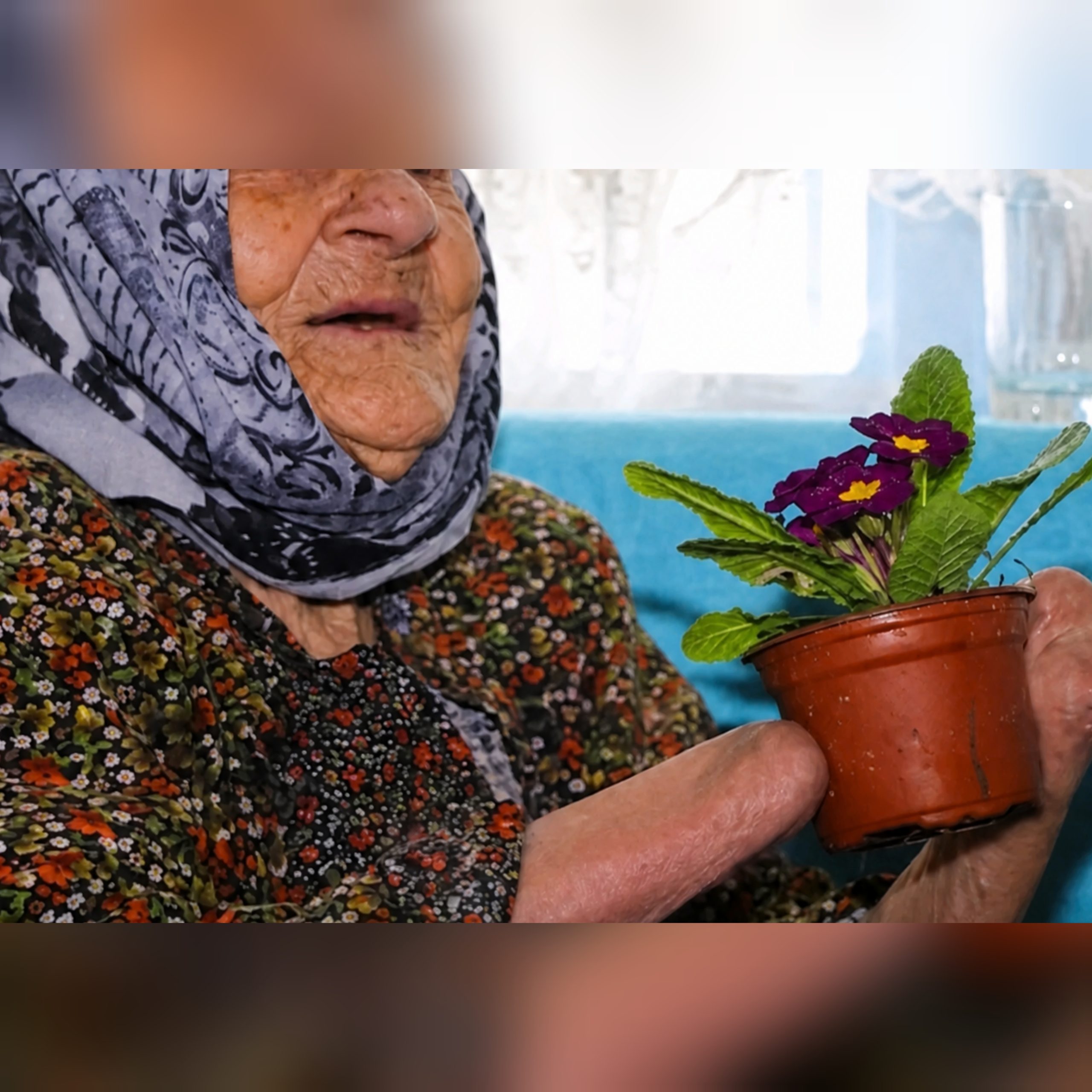 Тайна старой фотографии раскрыла правду